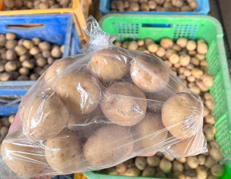 野菜を配布
